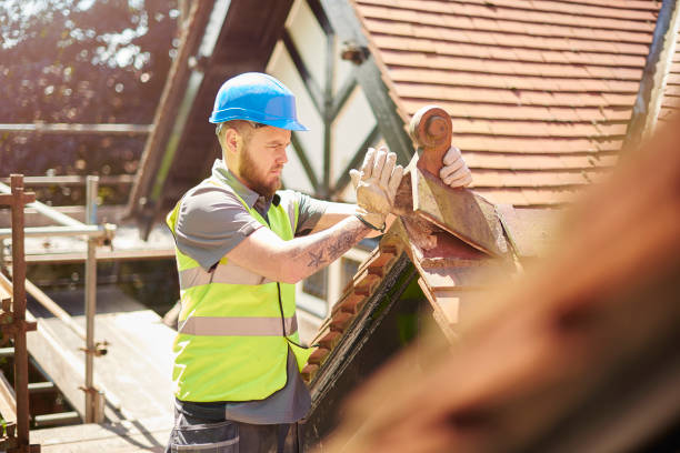 Best Storm Damage Roof Repair  in Grand Ledge, MI