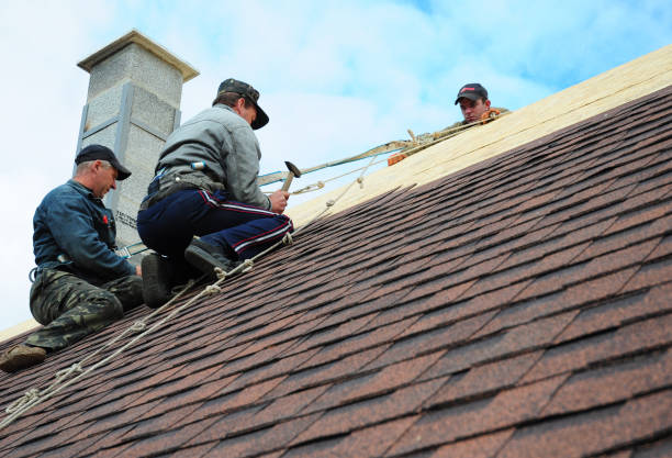 Quick and Trustworthy Emergency Roof Repair Services in Grand Ledge, MI
